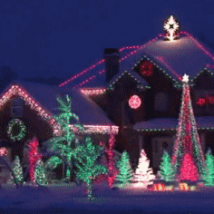 e850ef5356d4f0a6fa0827e906de23d3